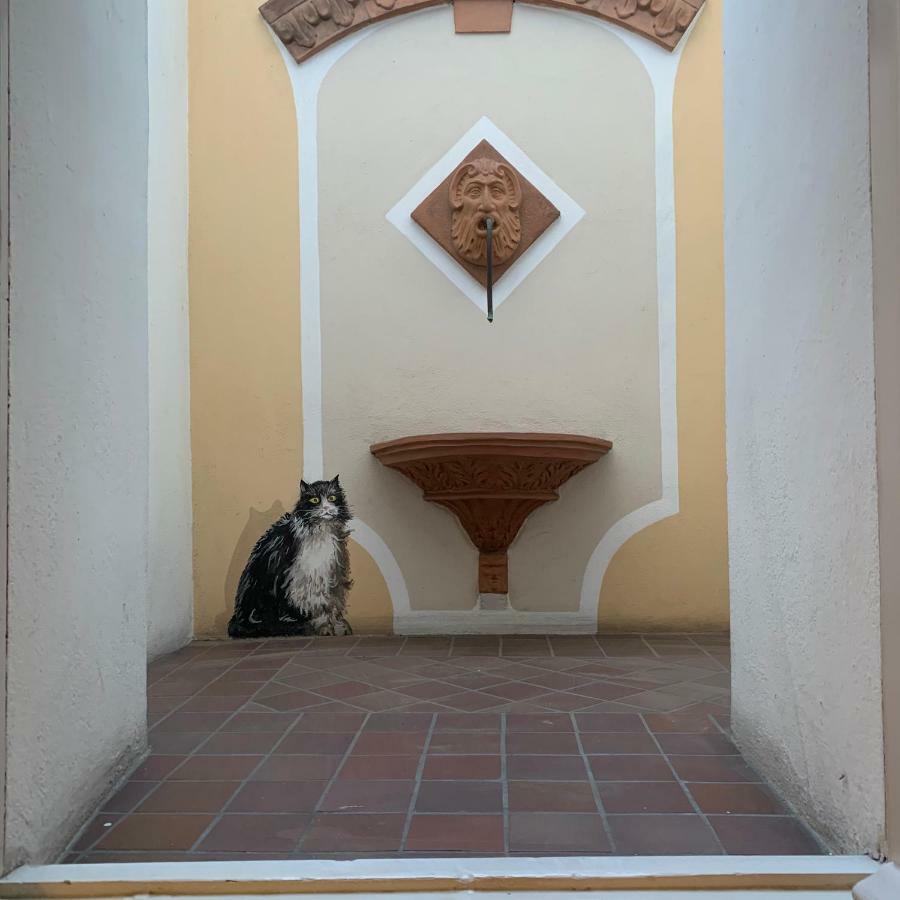 Whouse Suite Porta Di Castello Bologna Buitenkant foto